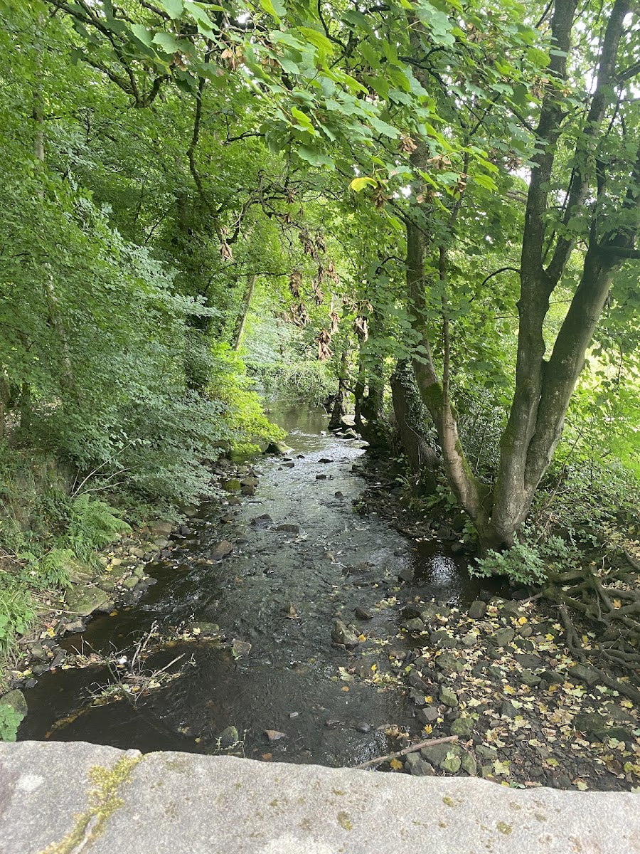 Rivelin Valley Trail