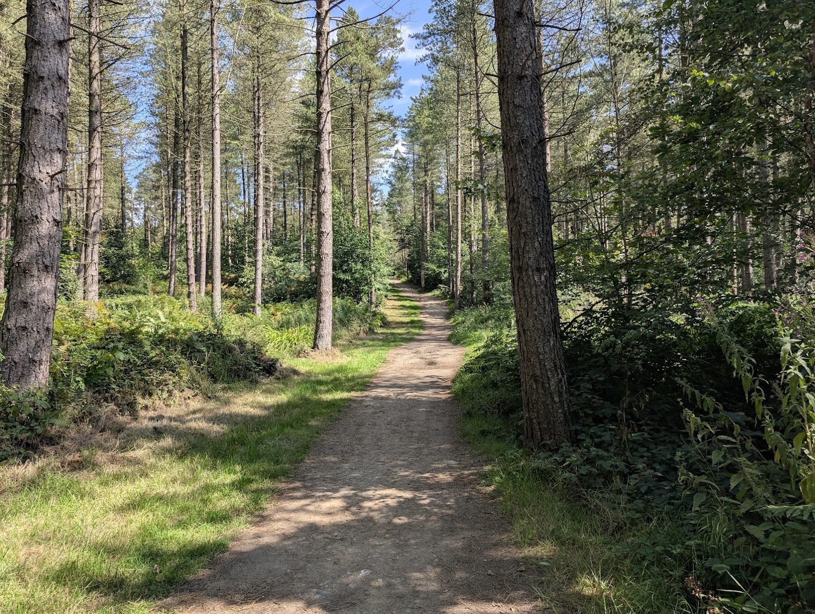Greno Woods Nature Reserve