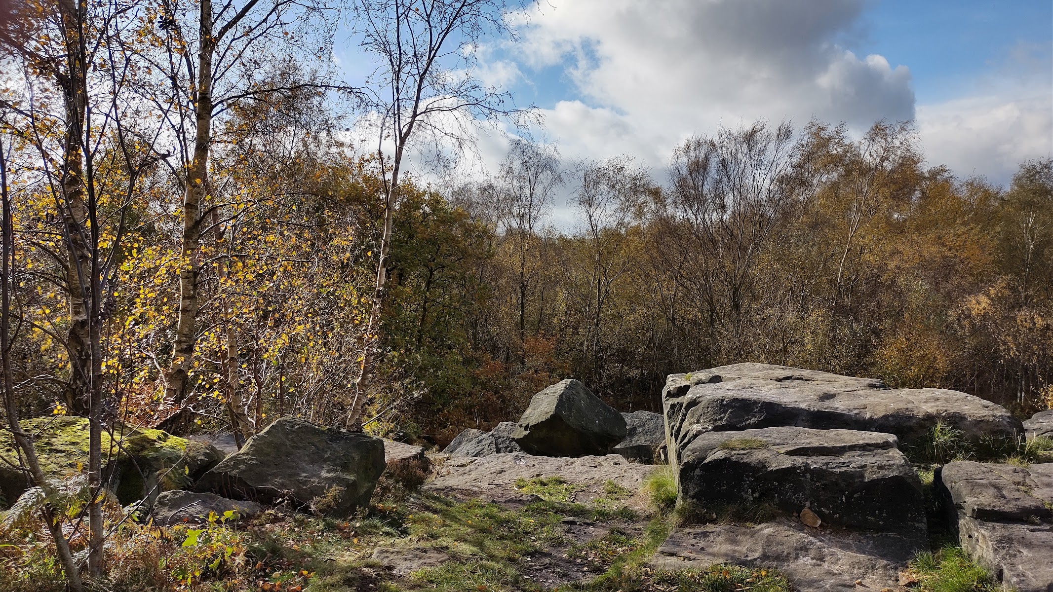 Loxley & Wadsley Common