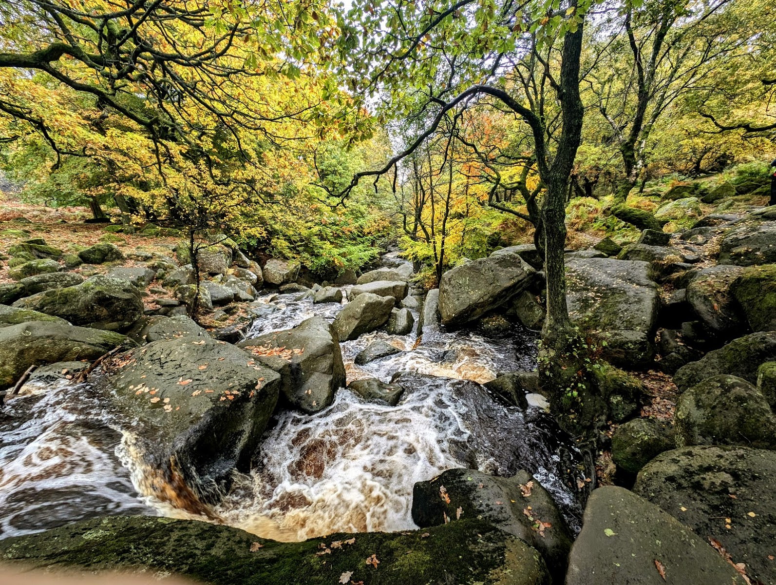 Longshaw Estate