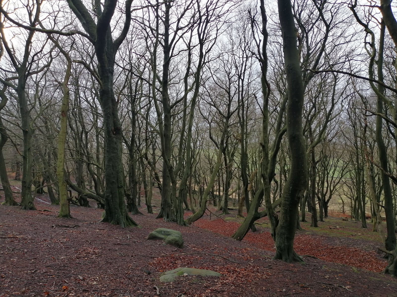 Whitwell Moor