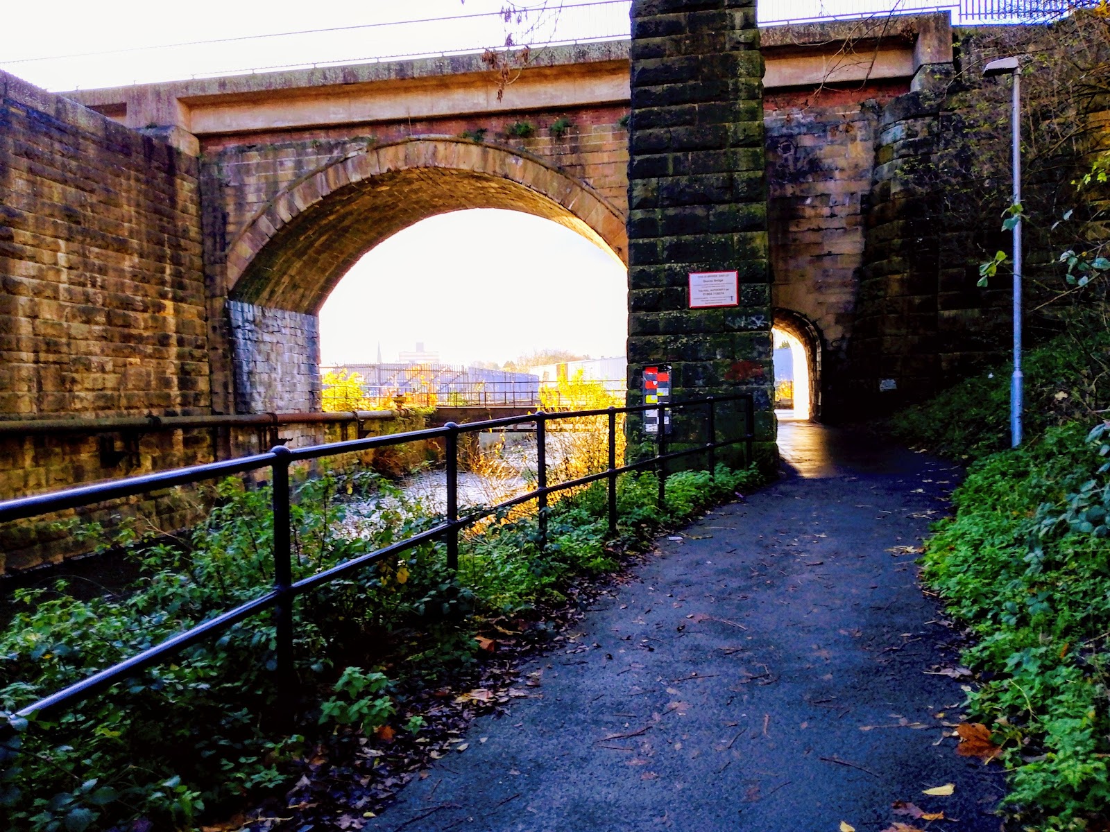 Skerne Bridge Nature Reserve