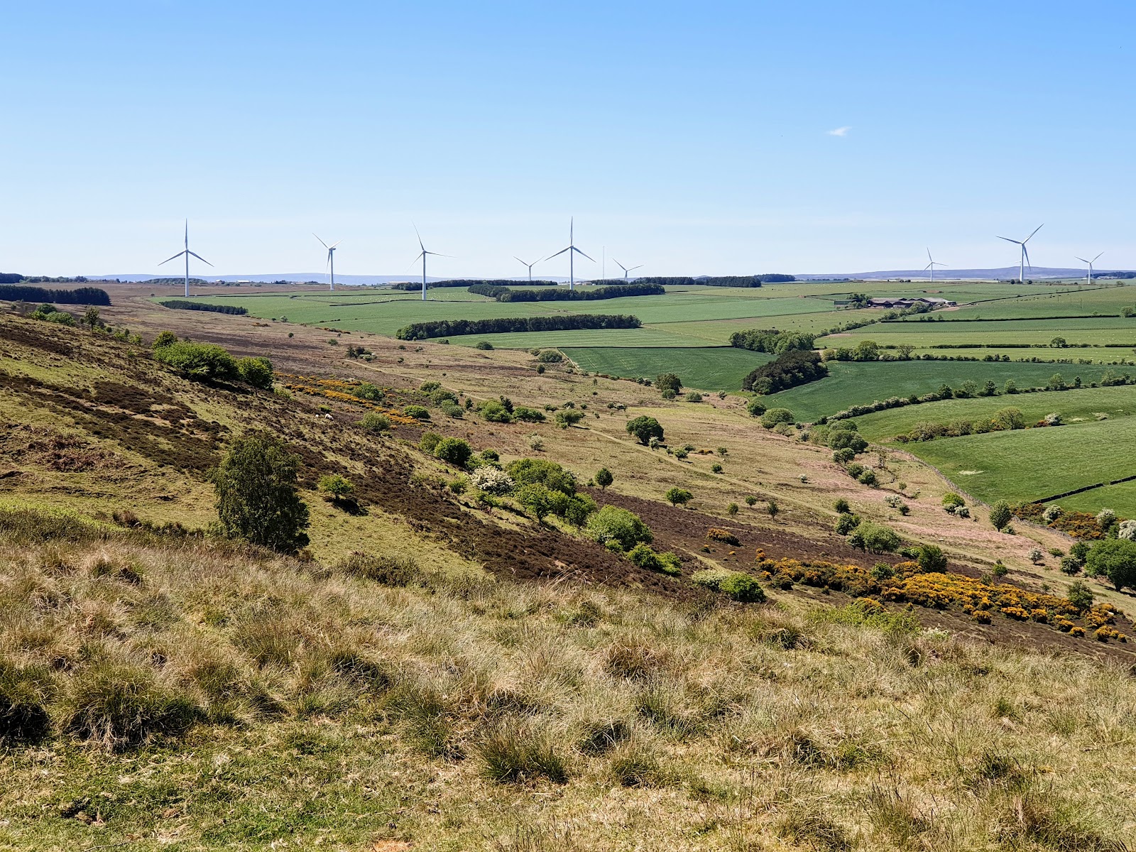 Hedleyhope Fell Nature Reserve