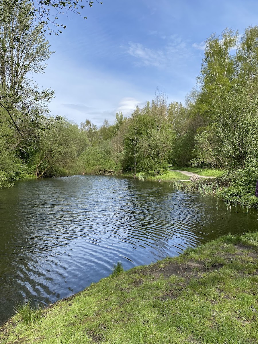 Prestwich Forest Park