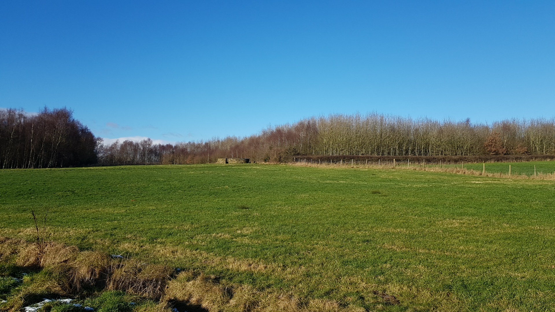 Hurst Wood