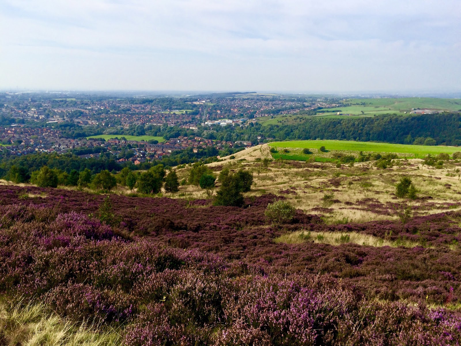 Crompton Moor