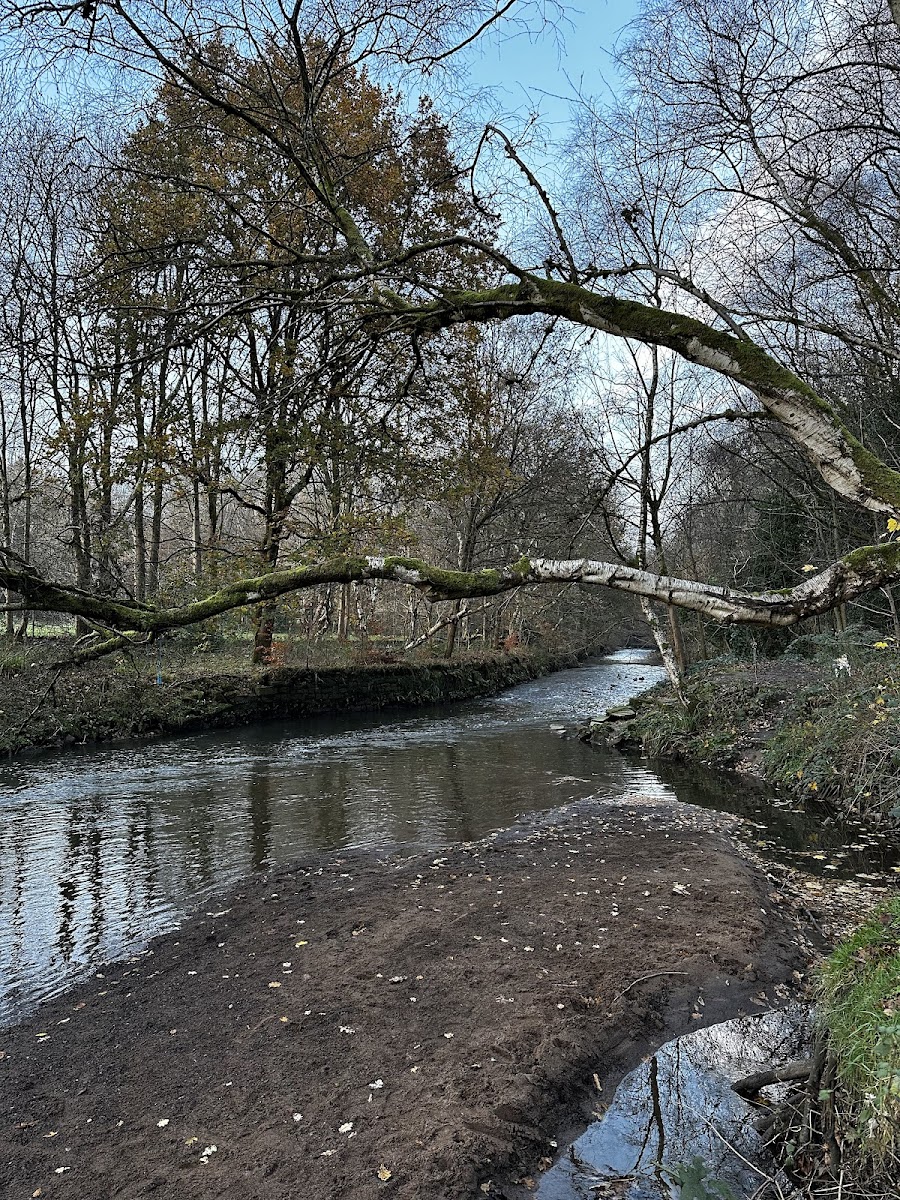 Blackley Forest