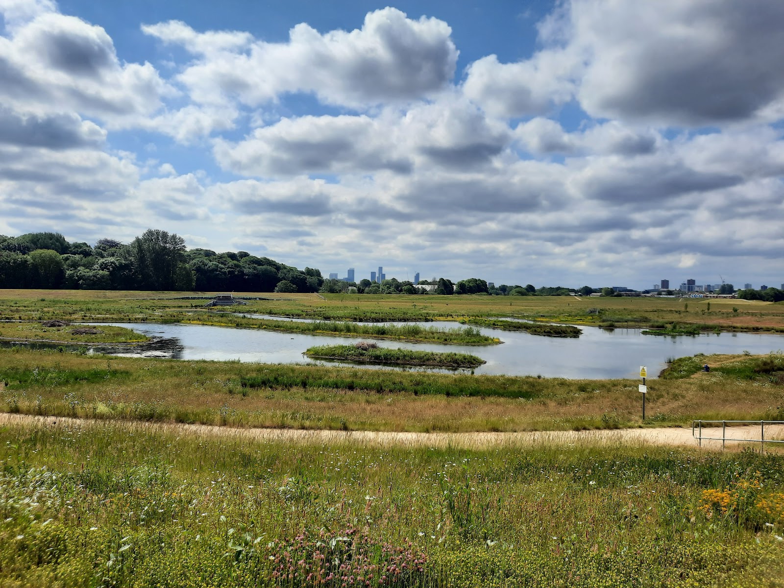 Kersal Wetlands
