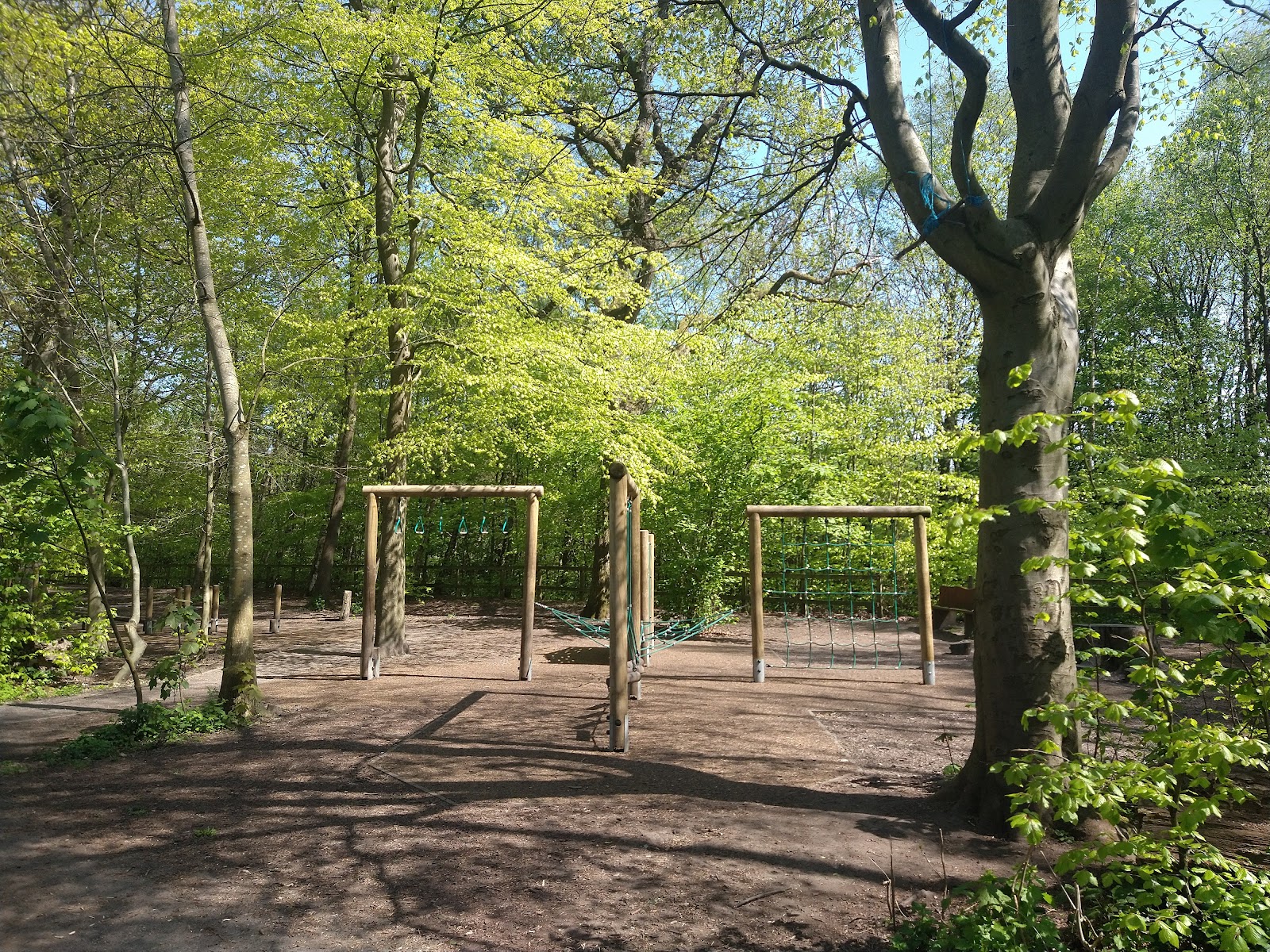 Worsley Woods