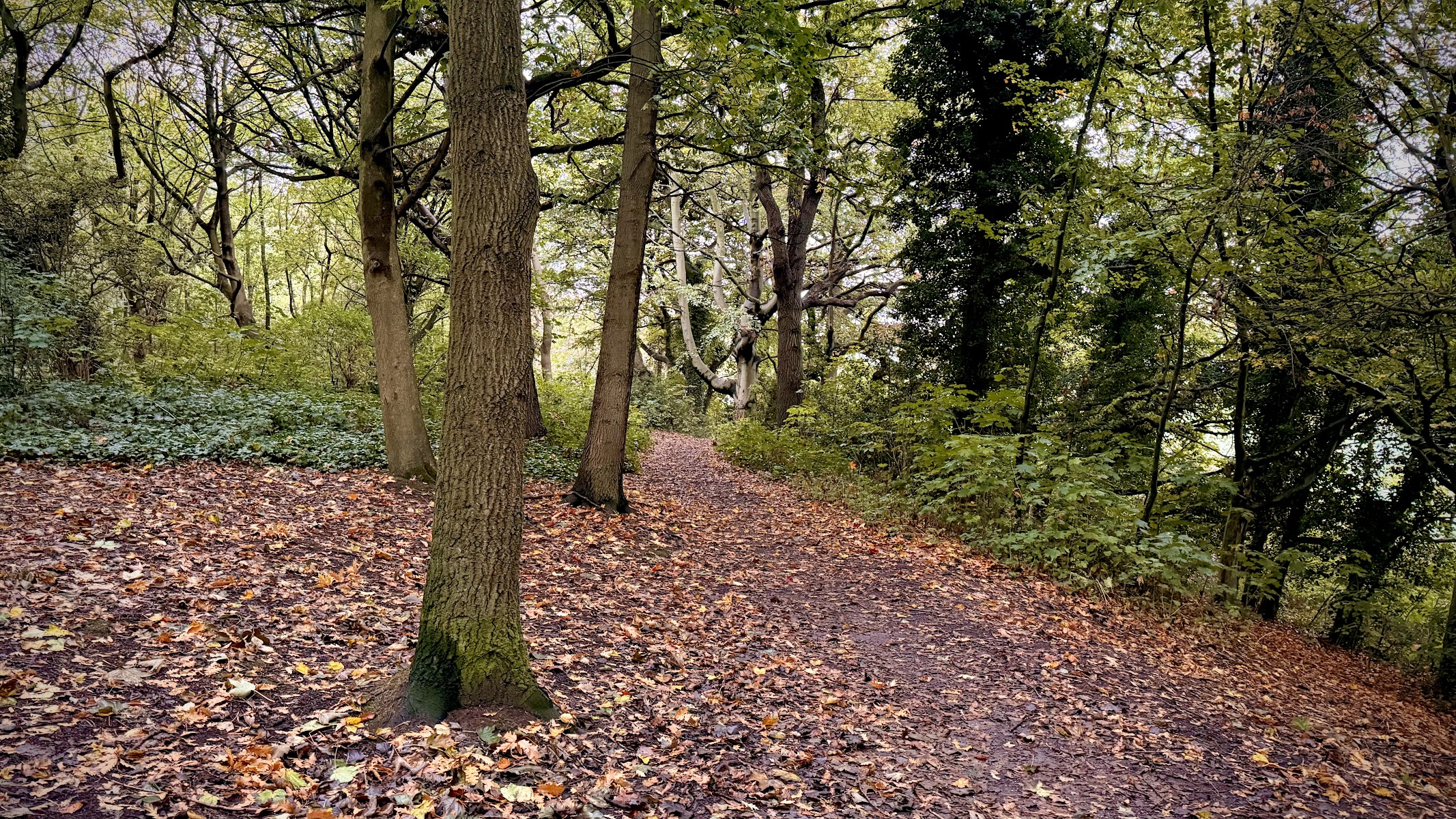 Nature Reserve Otterspool - UK