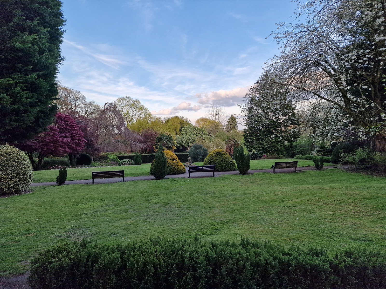 Woolton Wood And Camp Hill