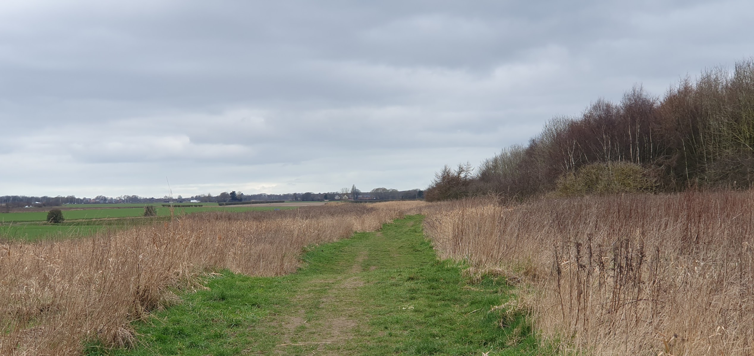 Jubilee Wood