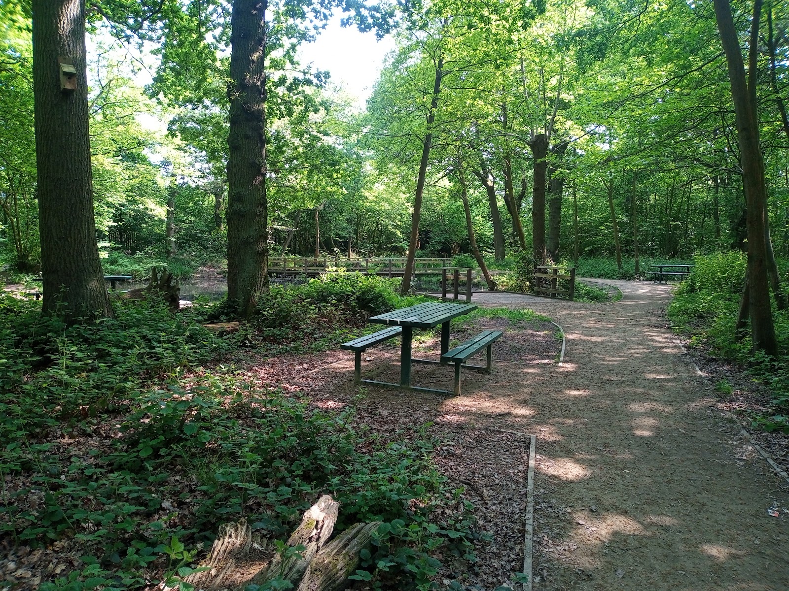 Little Wood
