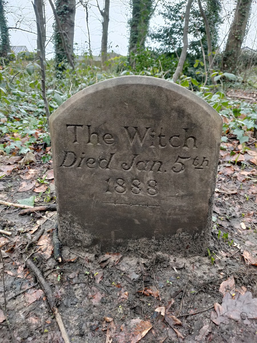 Witch Wood
