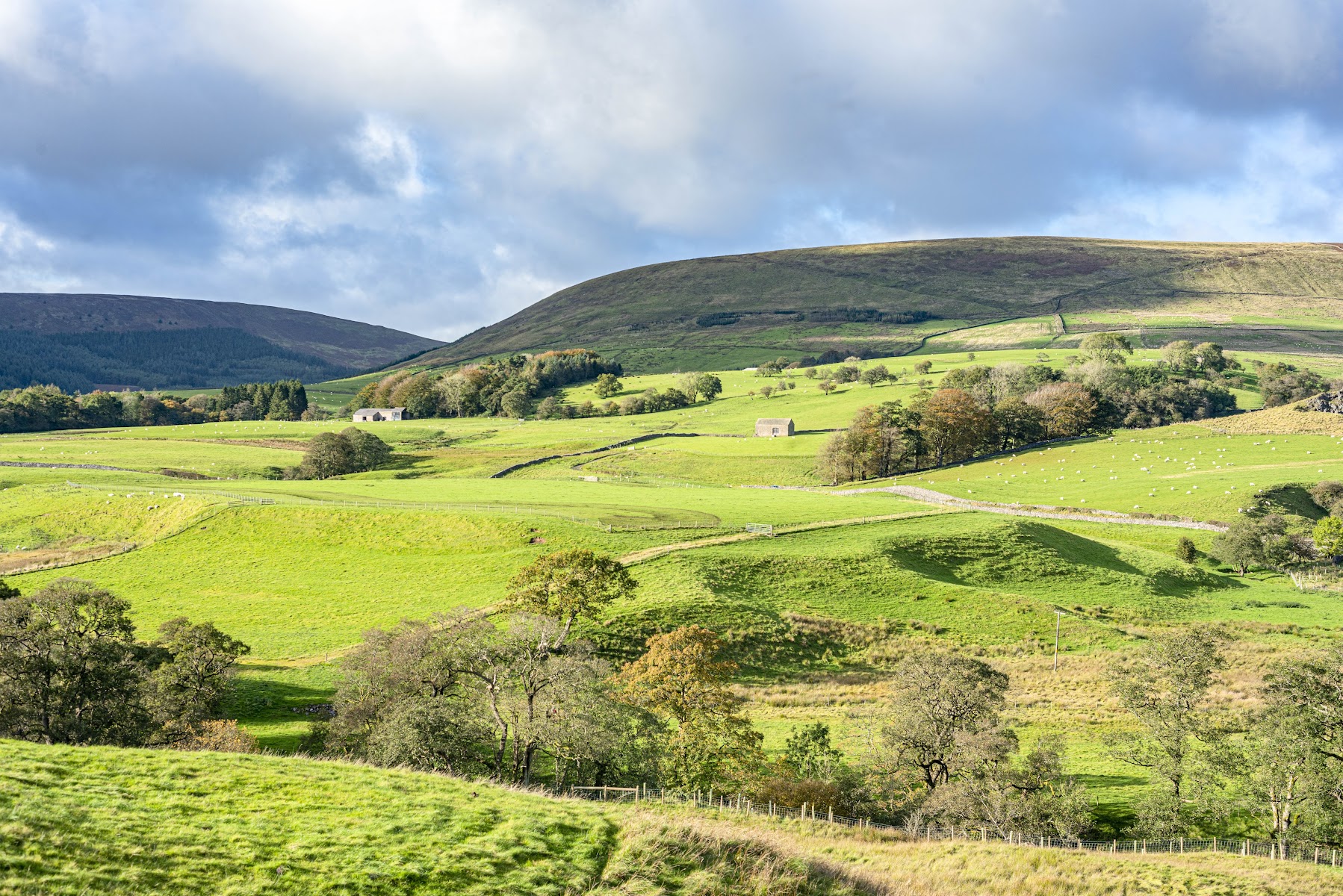 Forest of Bowland National Landscape Office