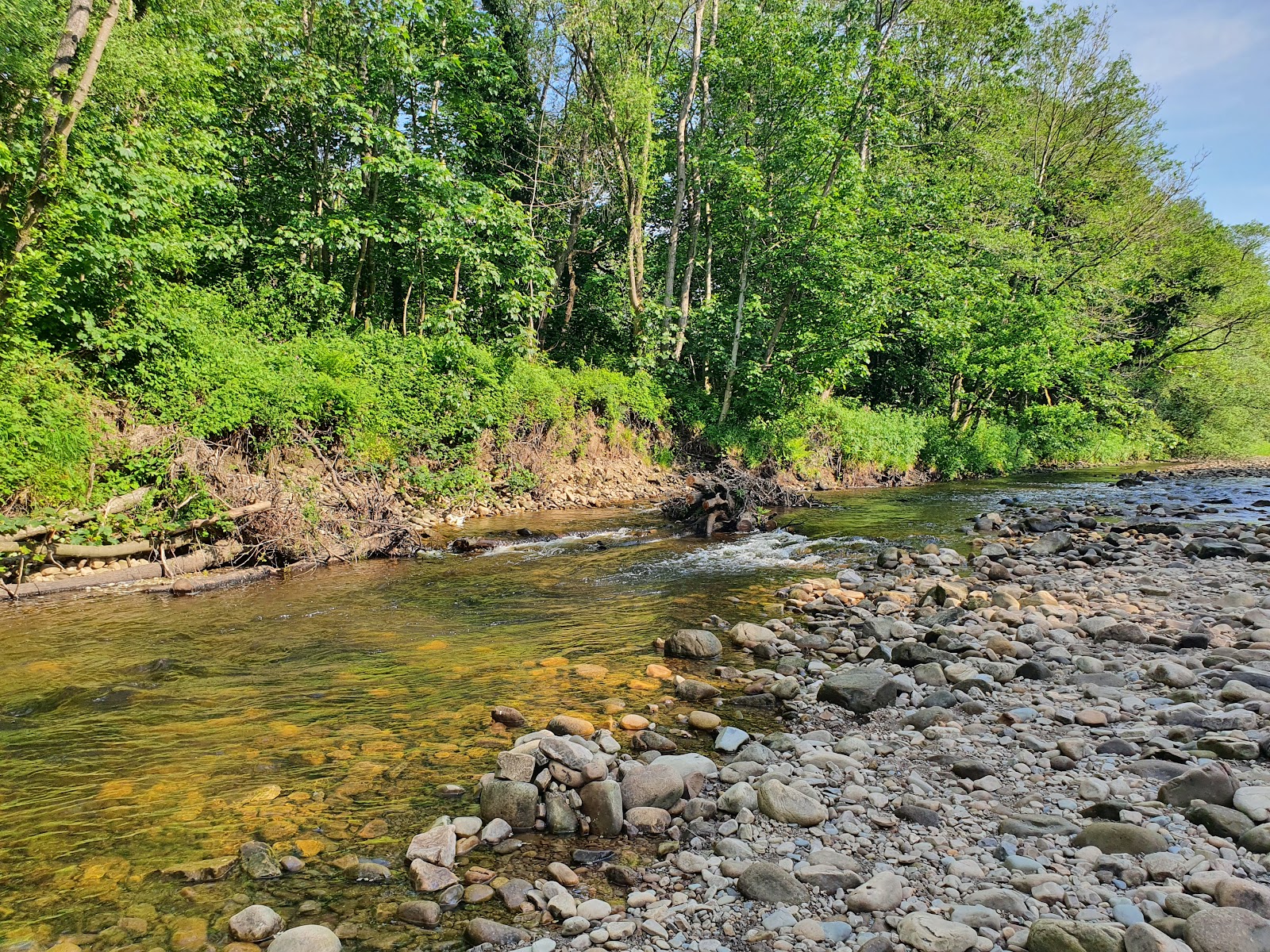 Scorton Picnic Site