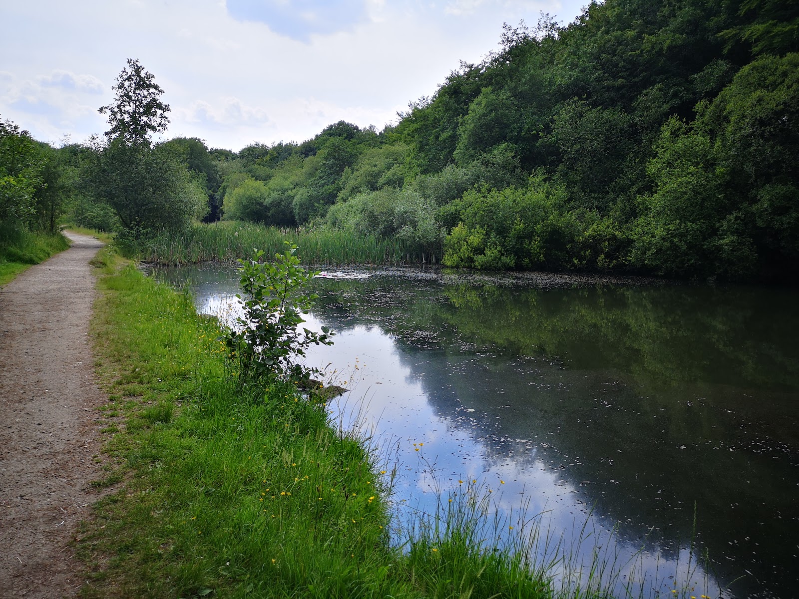 Withnell Nature Trail