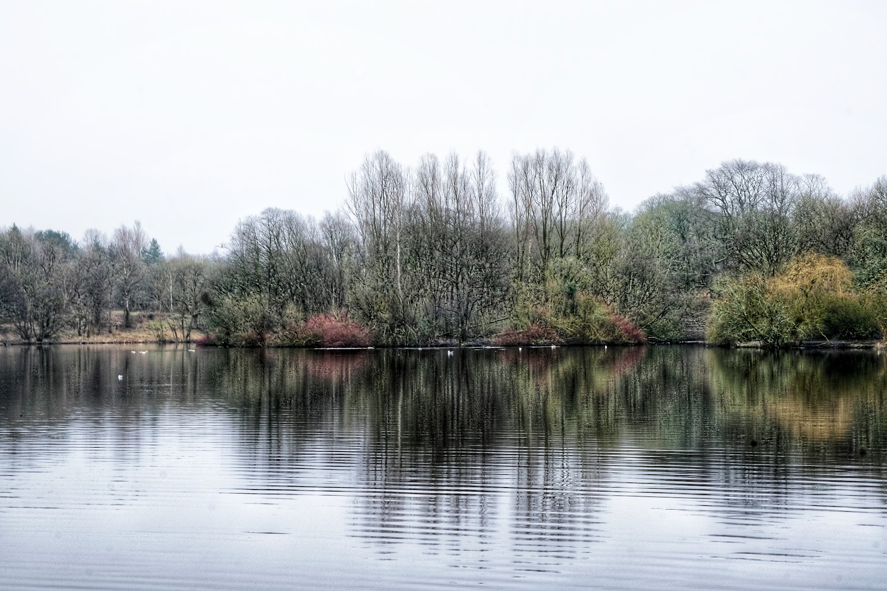 Brun Valley Forest Park