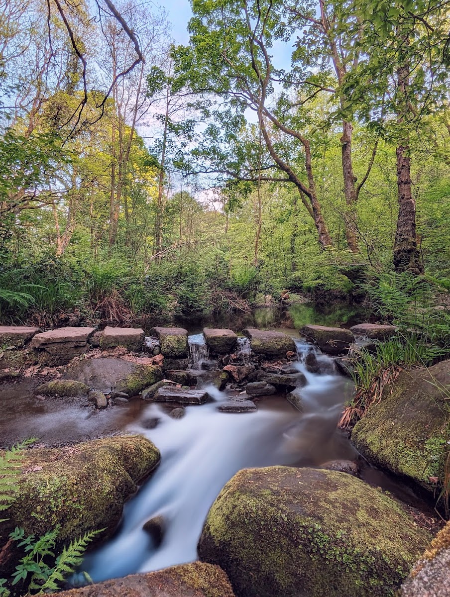 Rivelin Glen