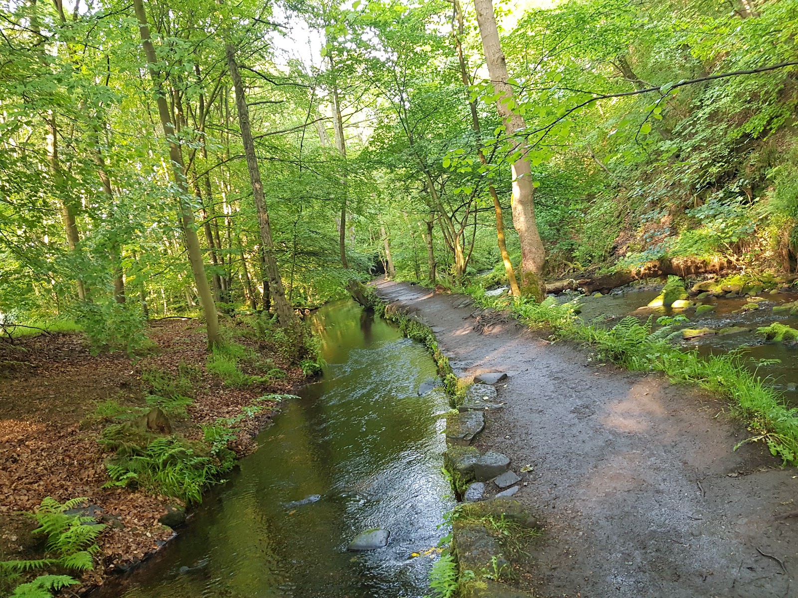 Rivelin Valley Conservation Group