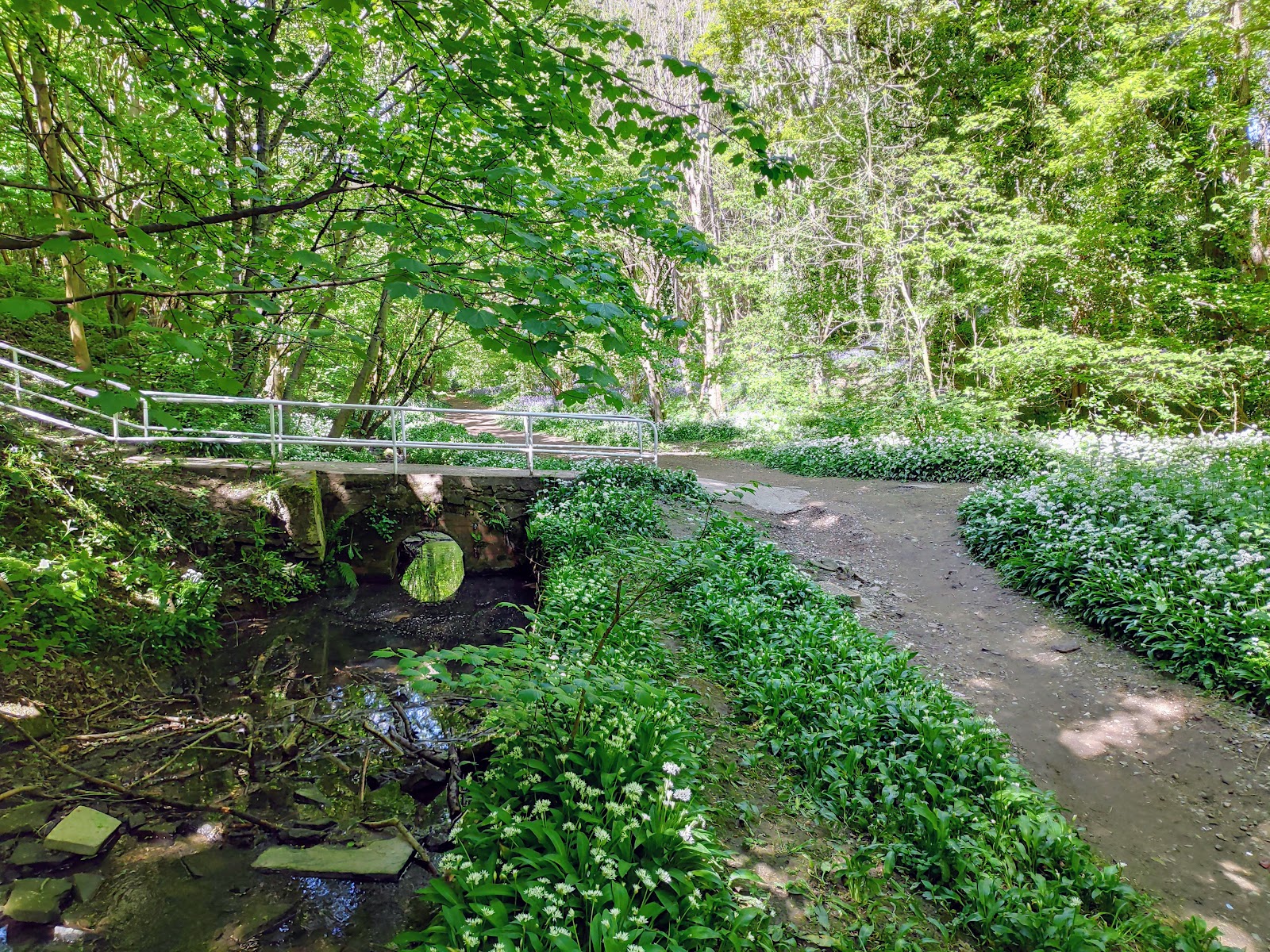 Smelter Wood