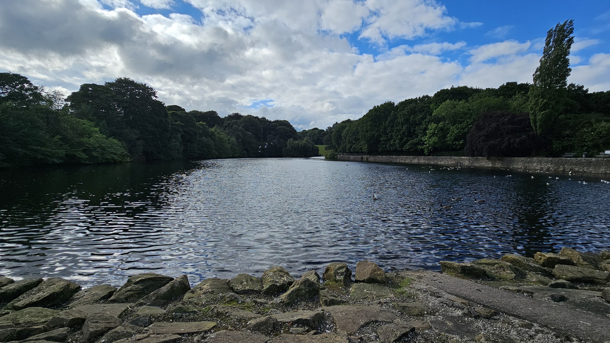 Chellow Bottom Res