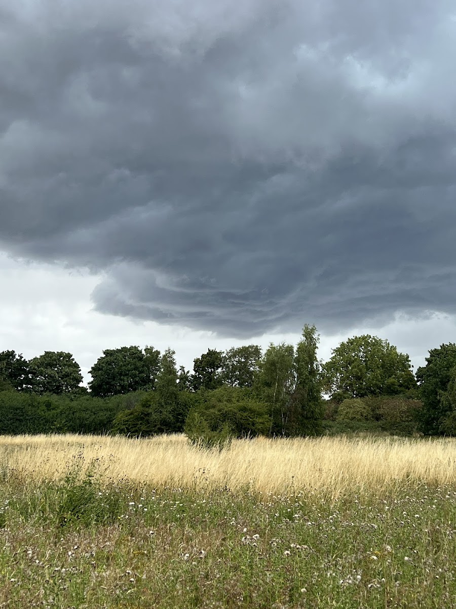 Millbeck Wildlife Area