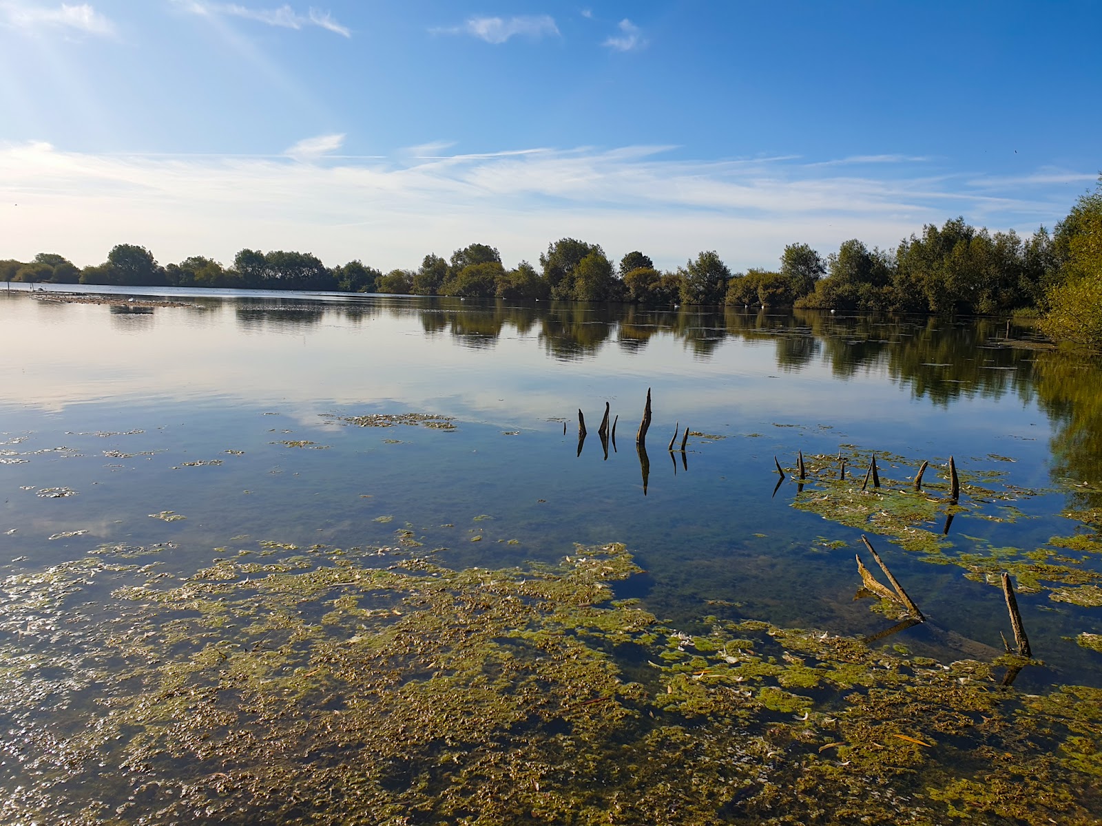 High Eske Nature Reserve