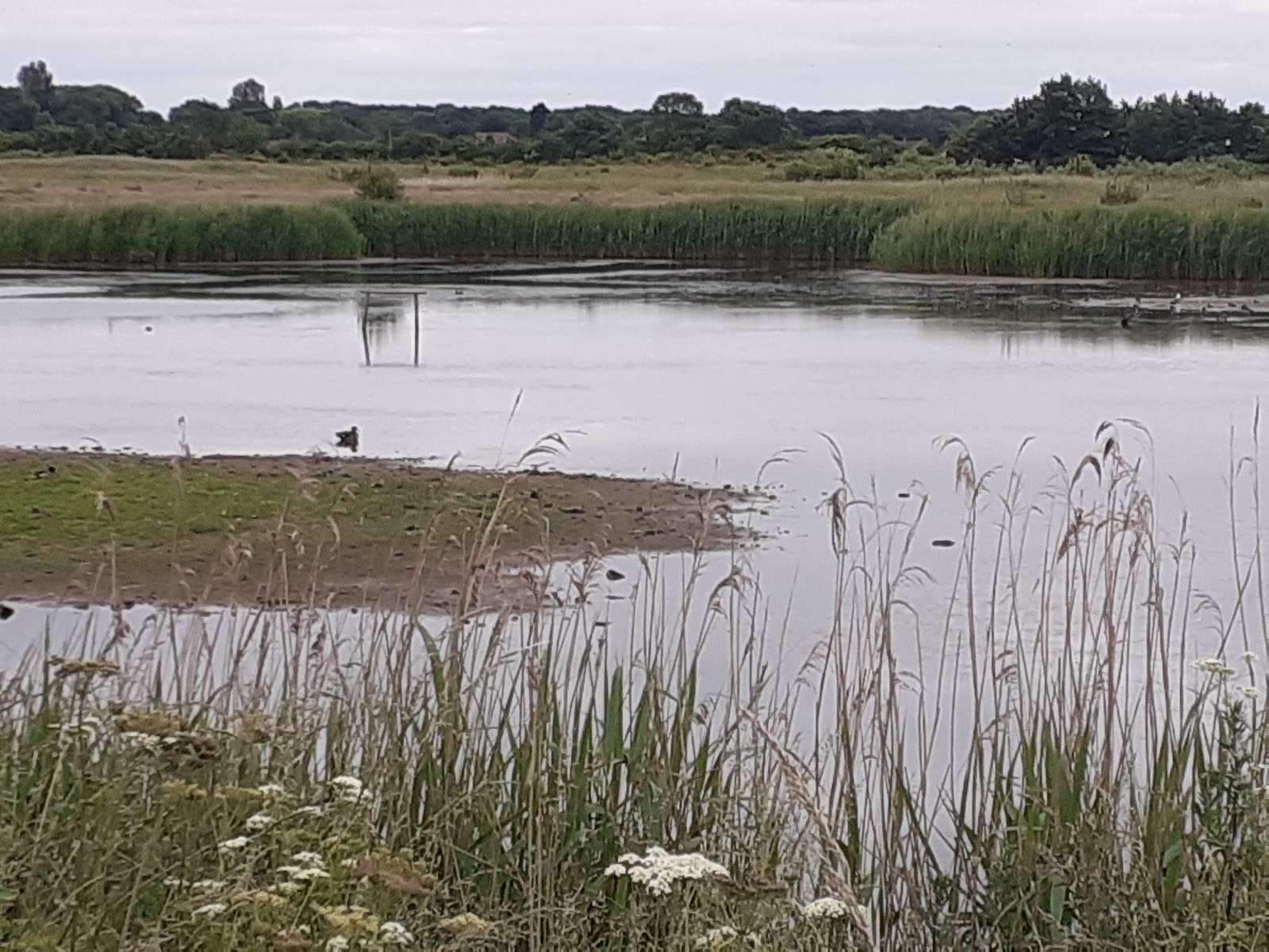 North Cave Wetlands
