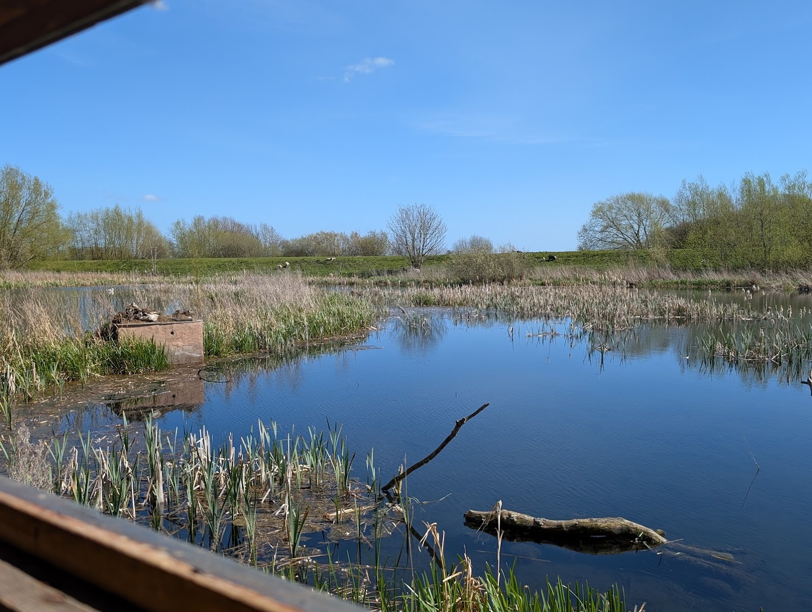 Tophill Low Nature Reserve