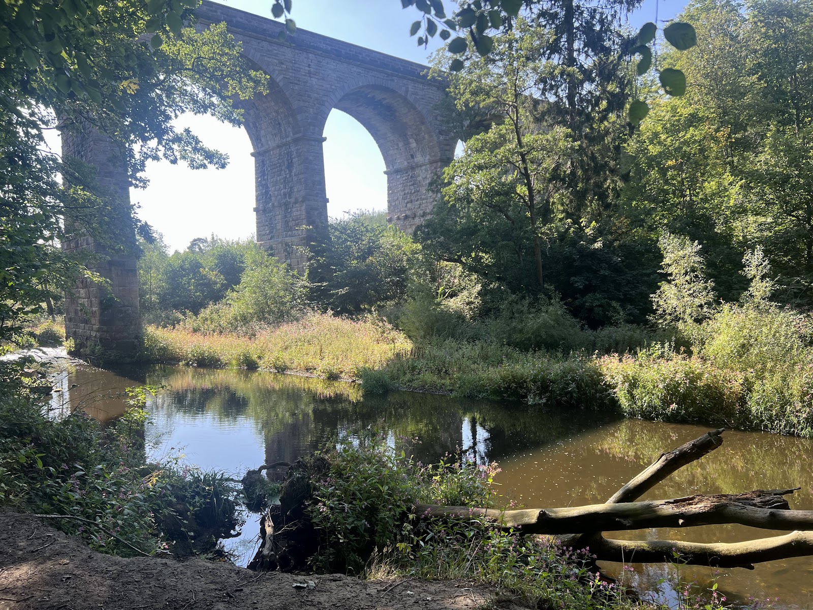 Nidd Gorge Viaduct