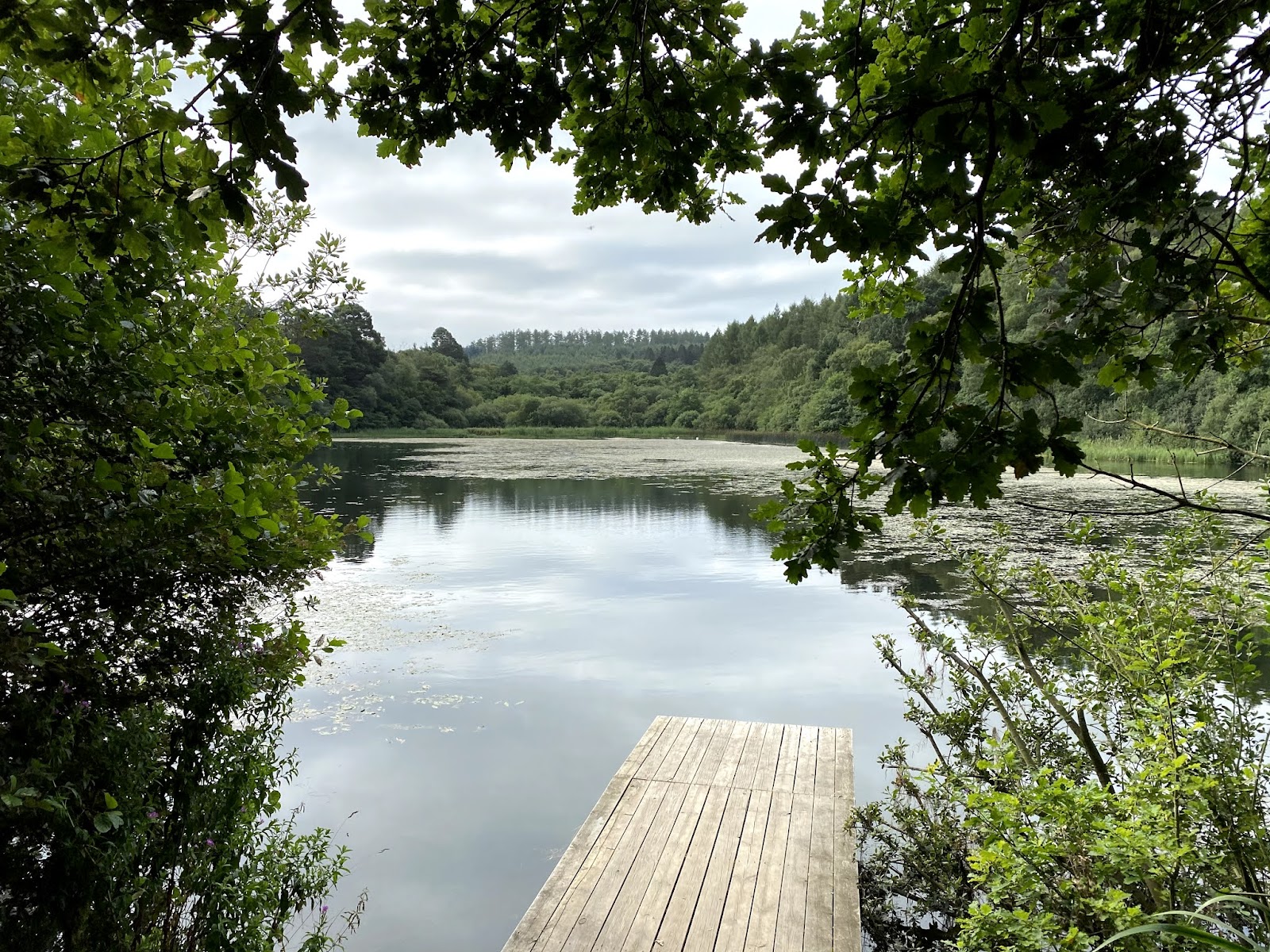 Yearsley Woods