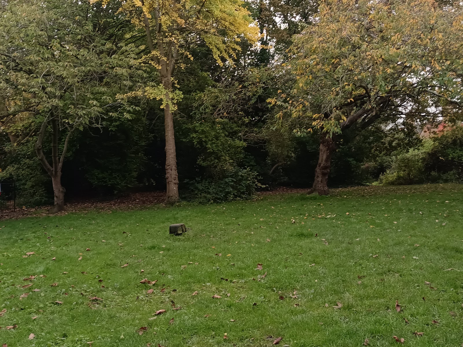Philosopher's Garden Picnic Area