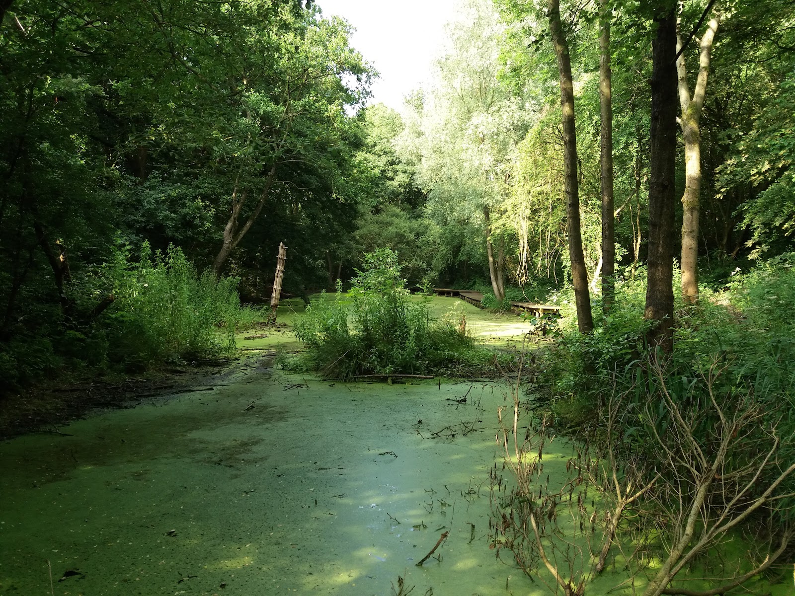Oakwood Gate Park