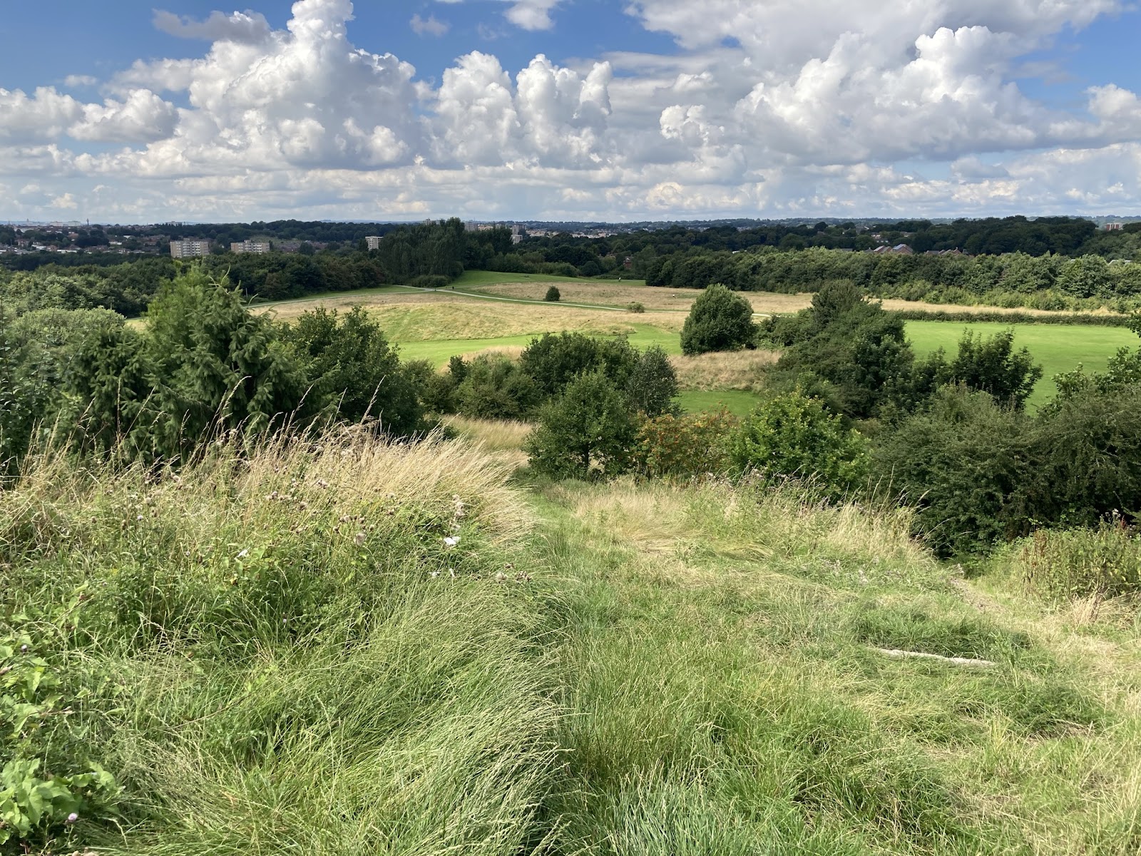 Primrose Valley Park