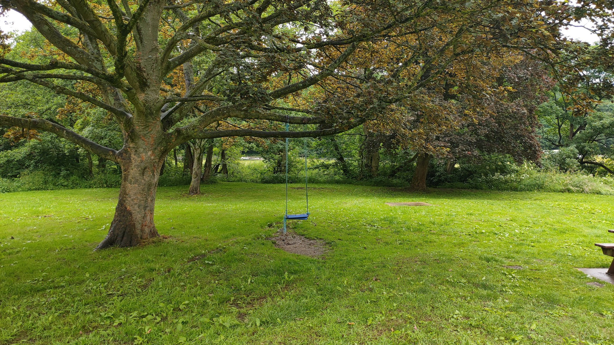 Riverside Picnic Area, Bower Dell