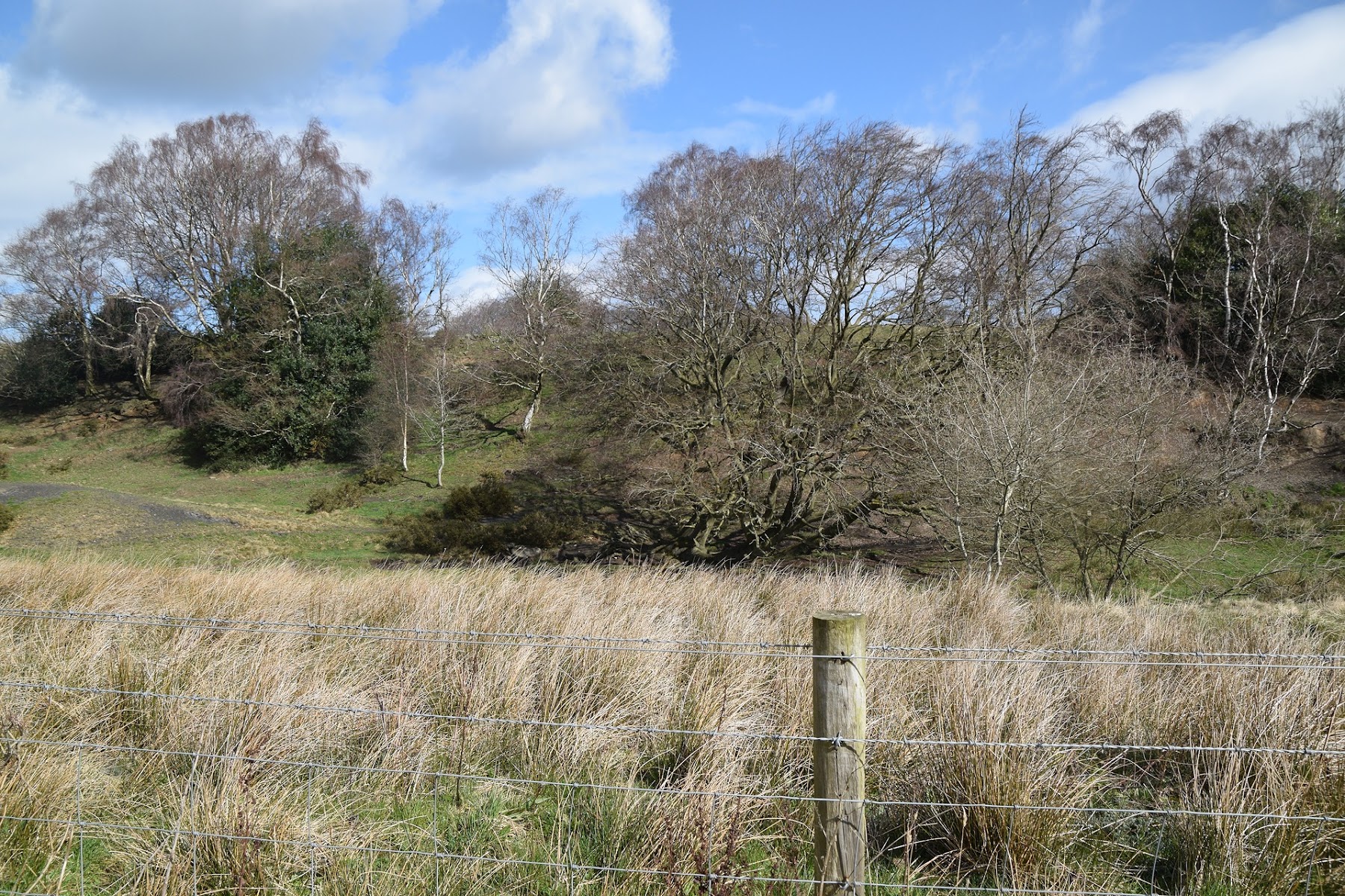 Limb Valley Picnic Spot