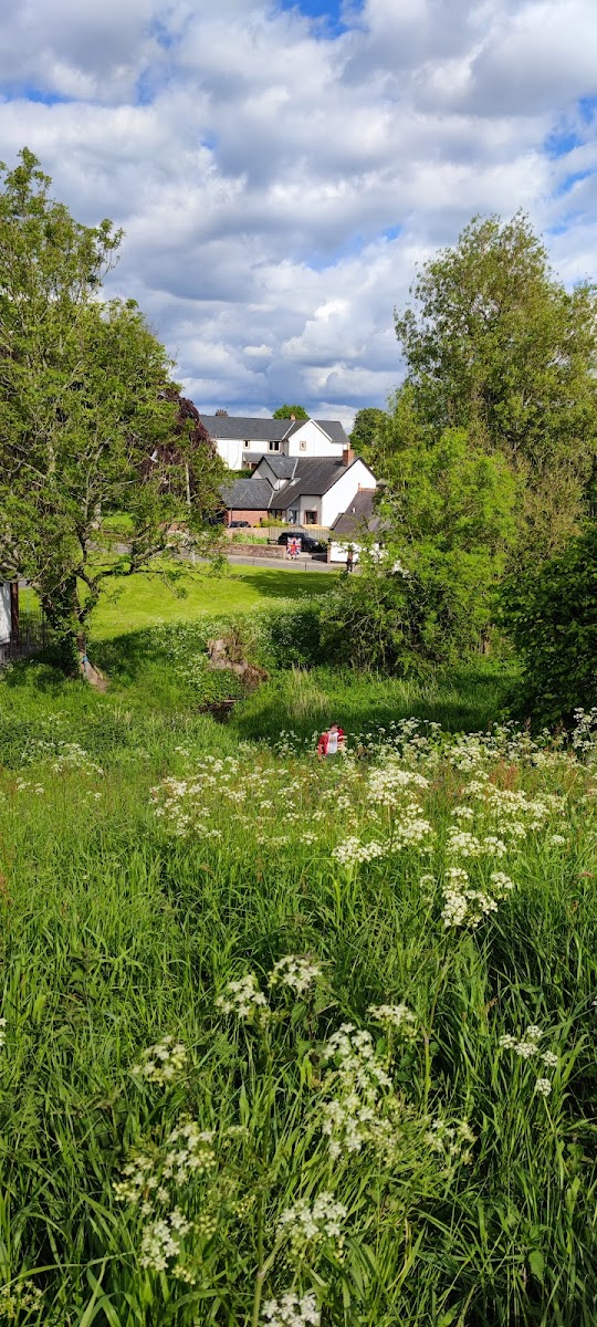 Scotby Play Park