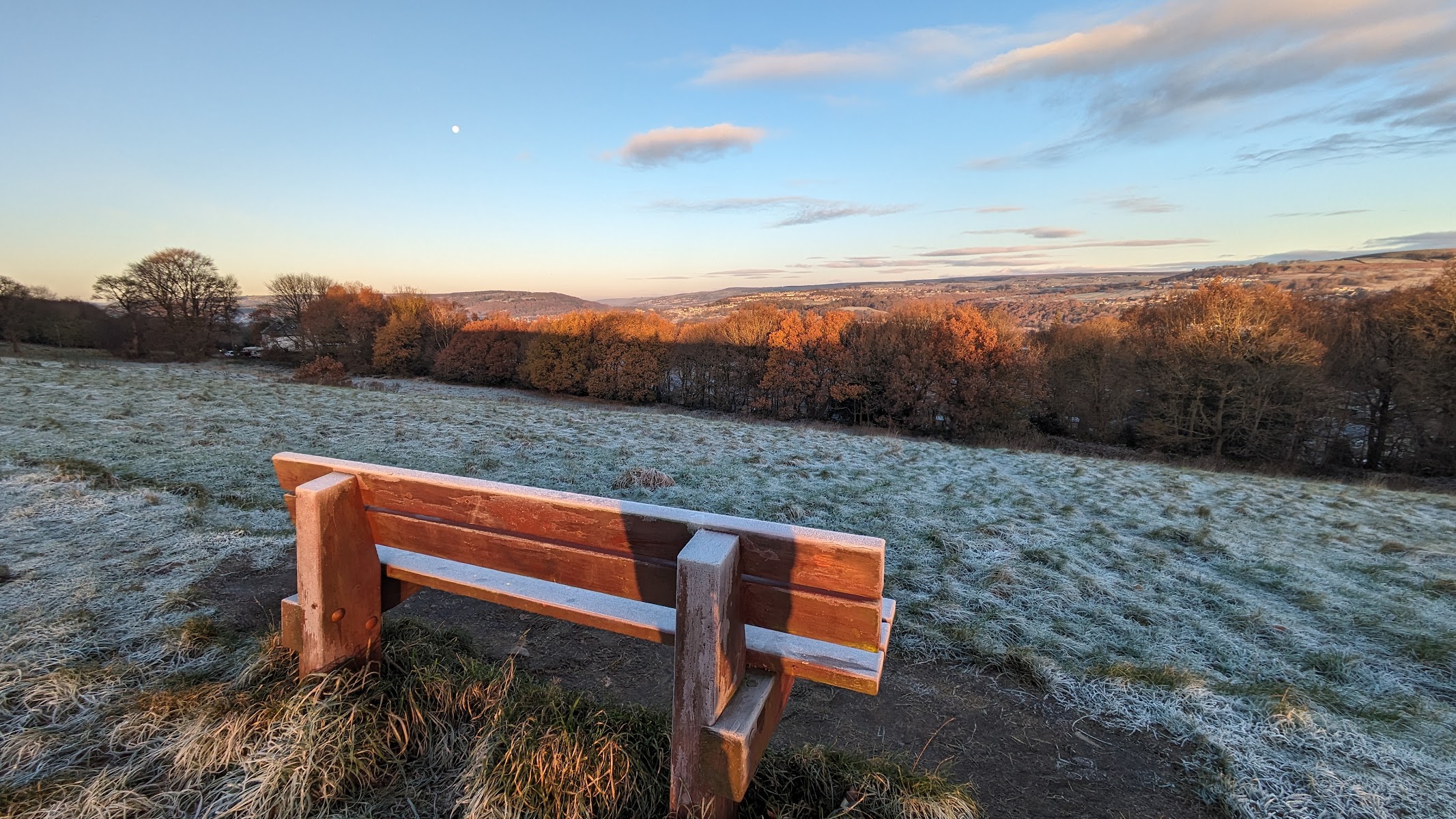 Bench of Dreams
