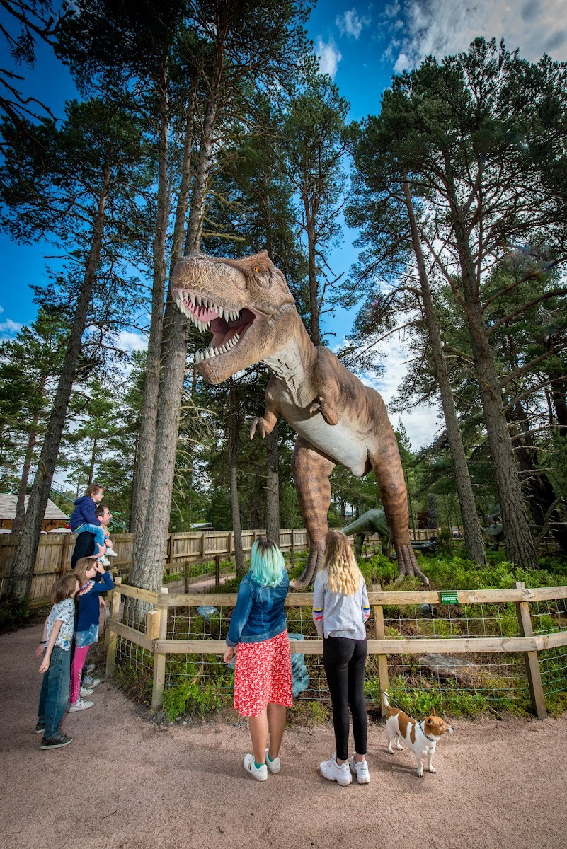 Landmark Forest Adventure Park