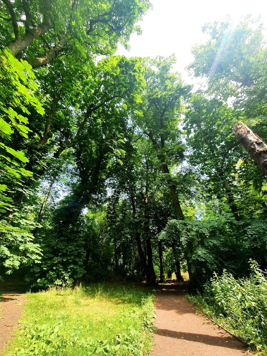 Glen Parva Nature Reserve