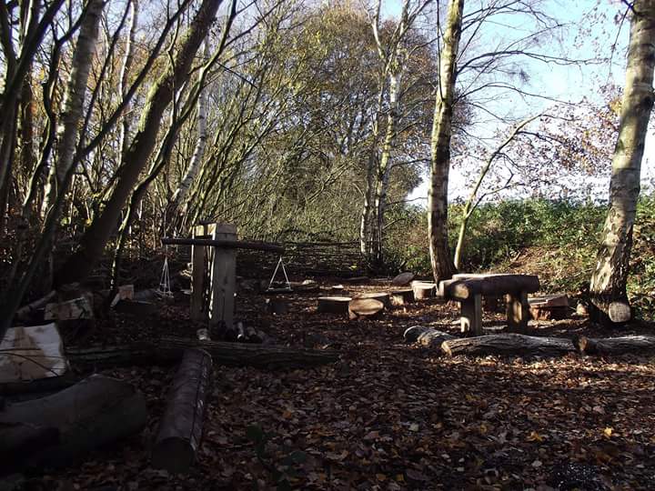 Willow Glade