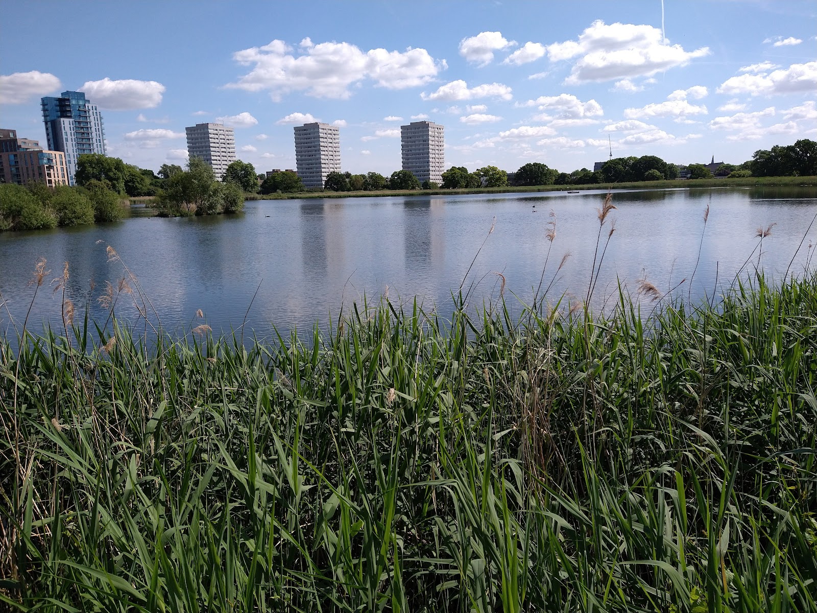 Woodberry Wetlands, London Wildlife Trust