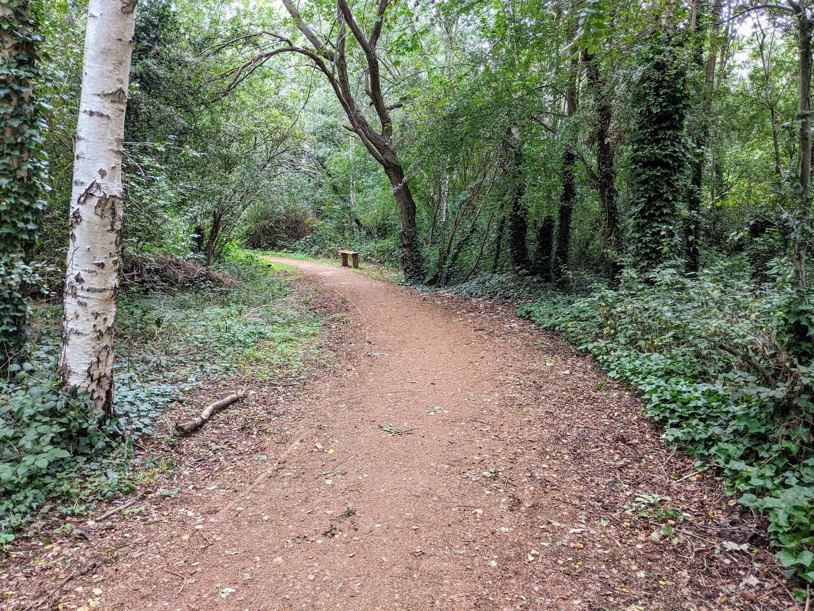 Eardley Road Sidings Nature Reserve
