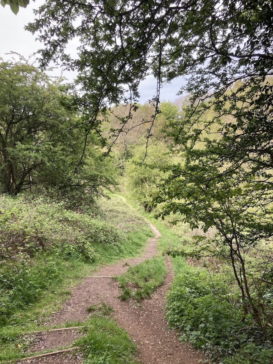 Slip Inn Bank Nature reserve and walkway