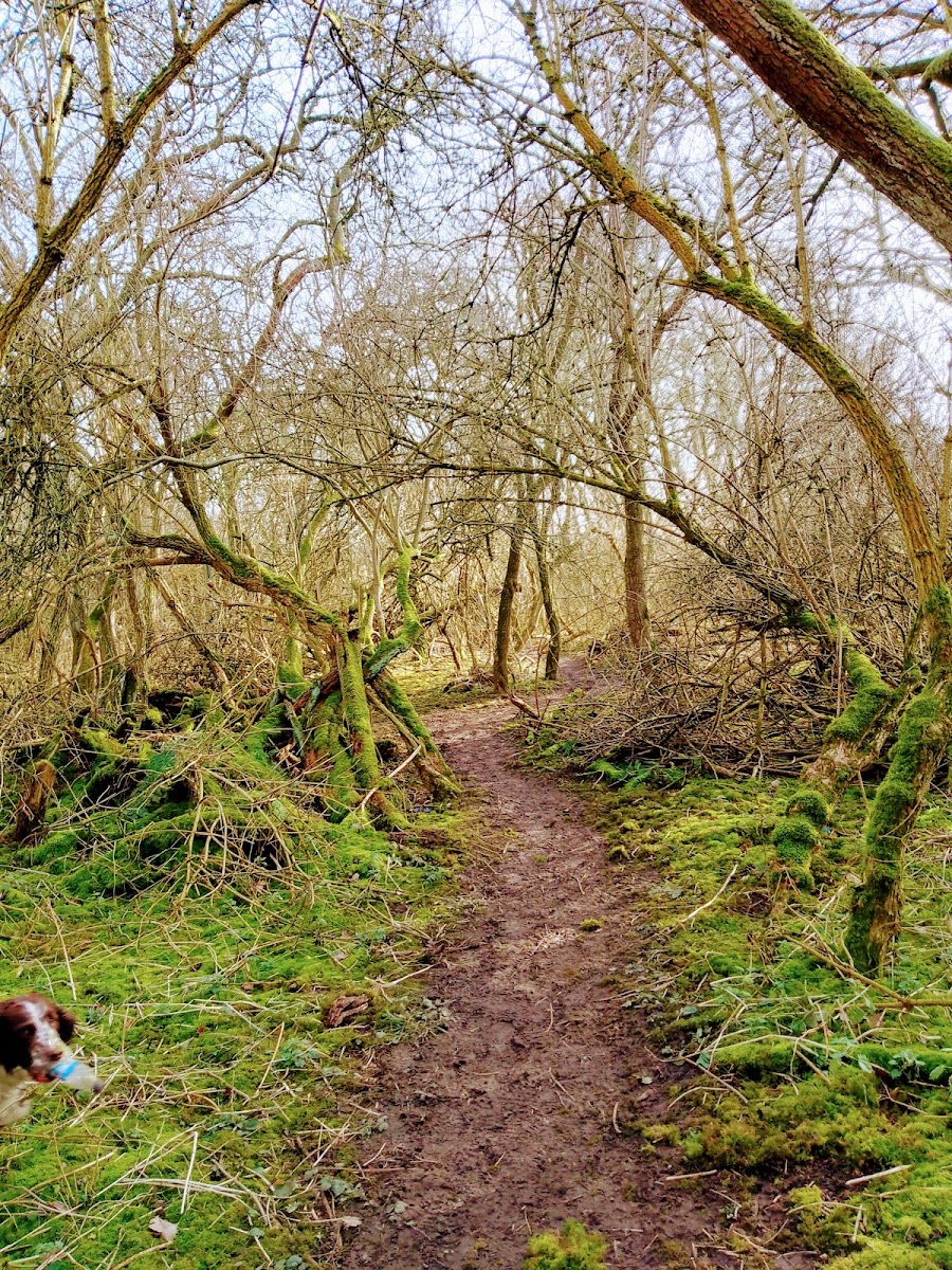 Faverdale Nature Reserve