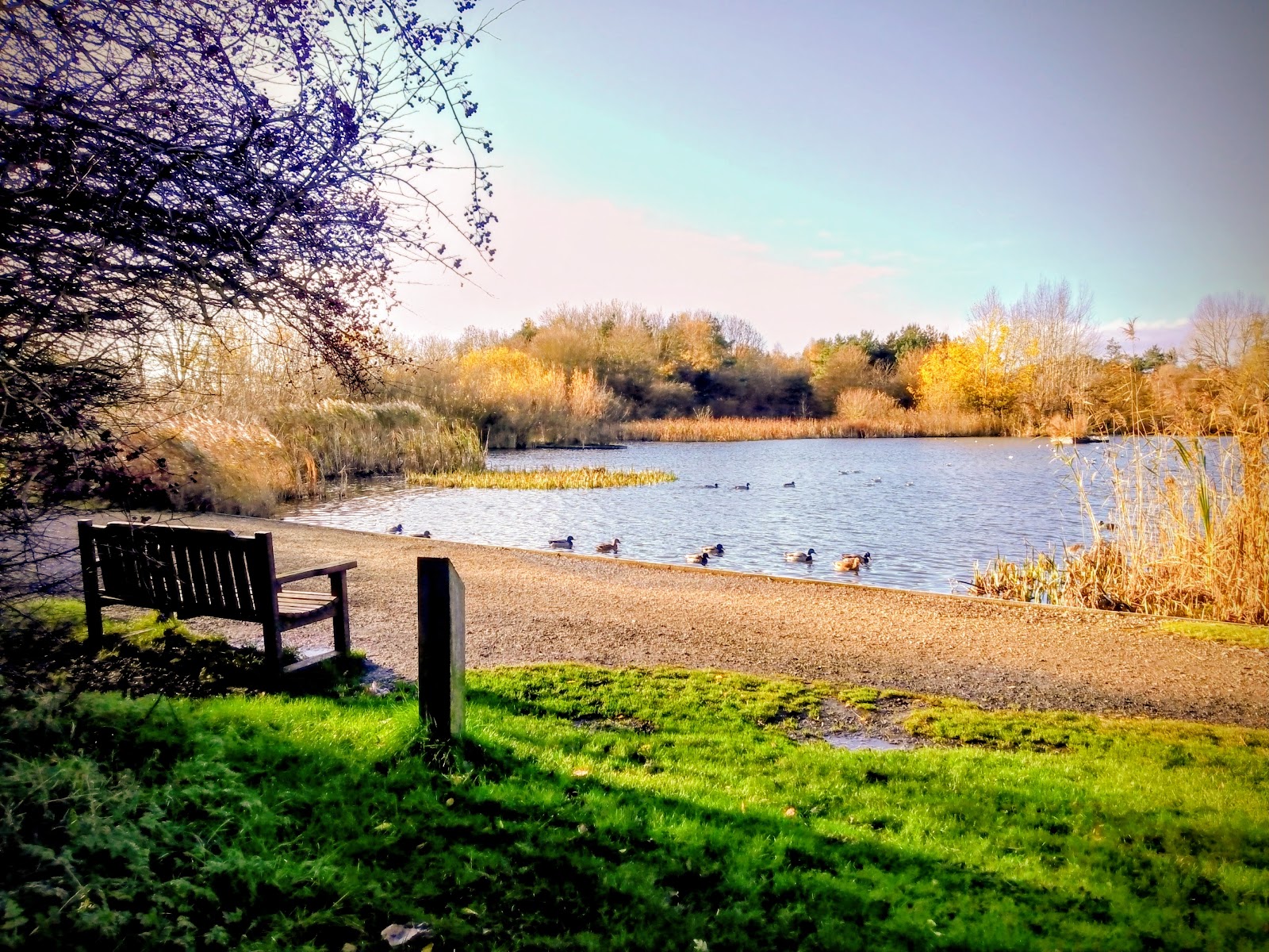 Drinkfield Nature Reserve