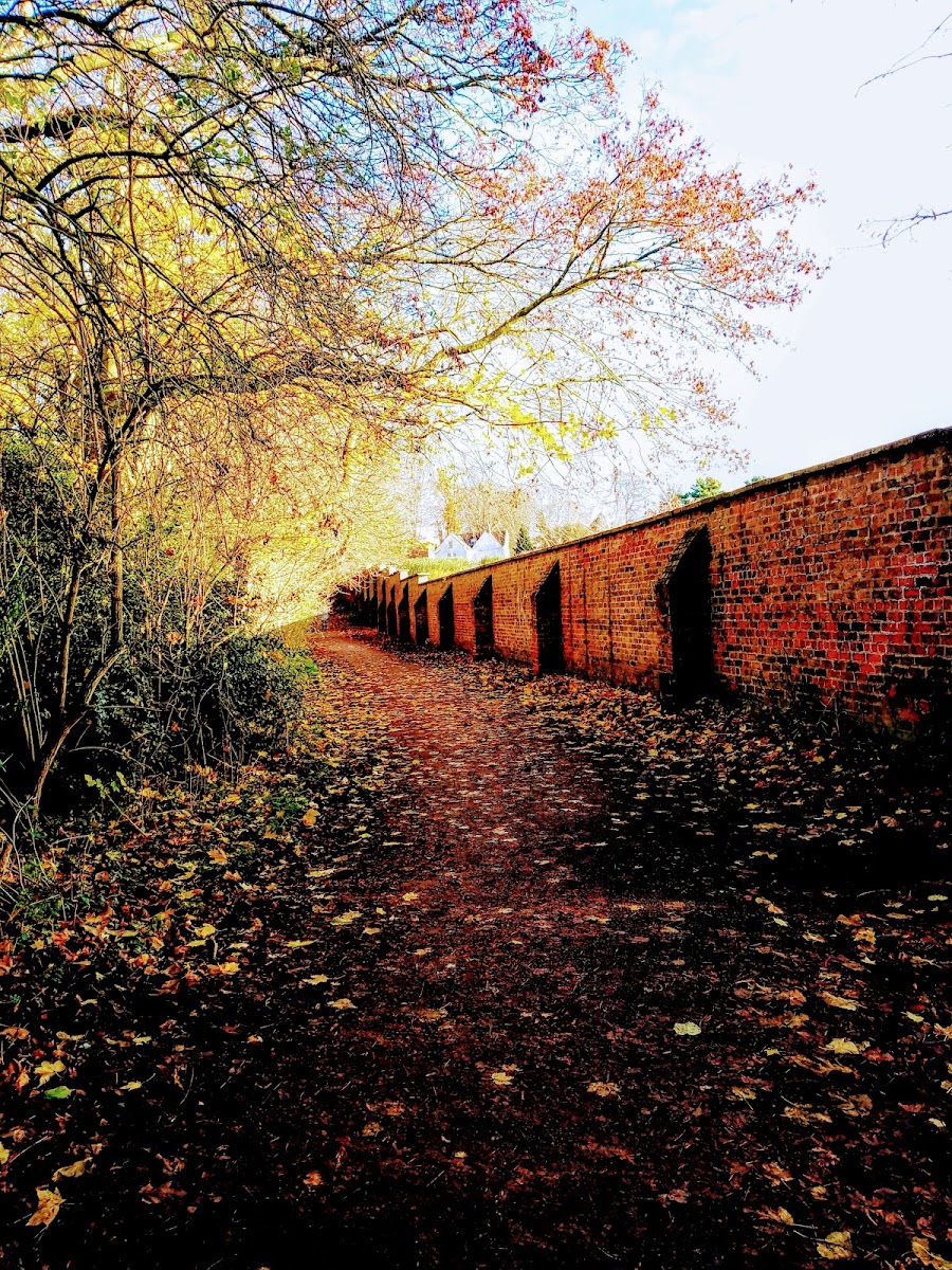 Nunnery Lane Bridleway
