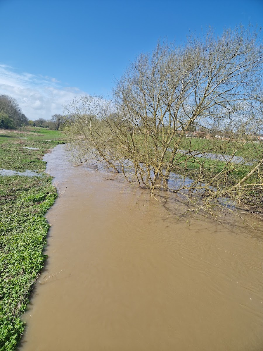 Red Hall Nature Reserve