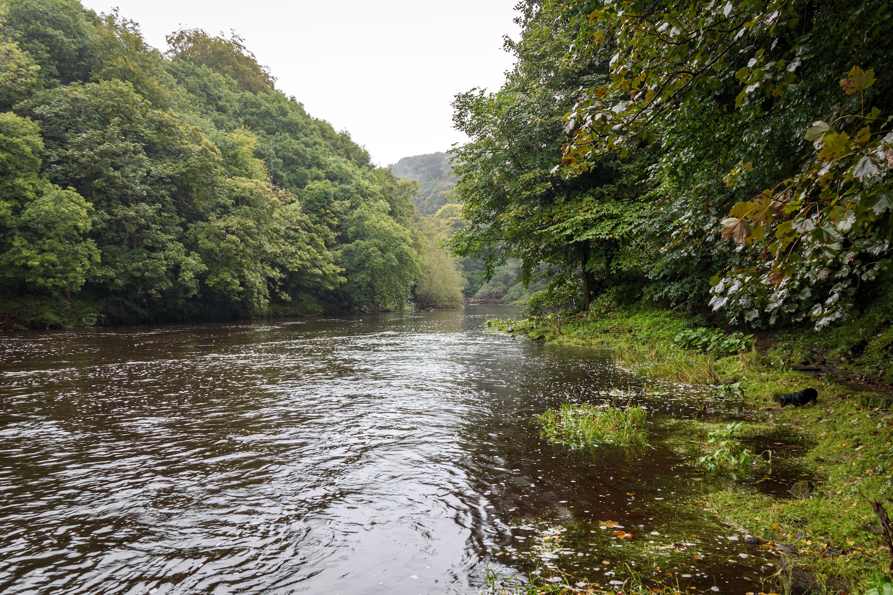 River Wear trail